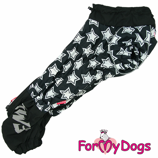 Afbeeldingen van ForMyDogs   TDW0398-2025T M Male Dachshund