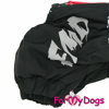 Afbeeldingen van ForMyDogs   TDW0398-2025T M Male Dachshund