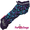 Afbeeldingen van ForMyDogs  TDW0331-2024T F Female Dachshund