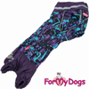 Afbeeldingen van ForMyDogs  TDW0331-2024T F Female Dachshund