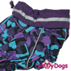 Afbeeldingen van ForMyDogs  TDW0331-2024T F Female Dachshund