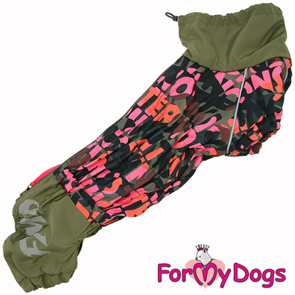 Afbeeldingen van ForMyDogs  TDW0330-2024T F Female Dachshund