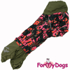 Afbeeldingen van ForMyDogs  TDW0330-2024T F Female Dachshund