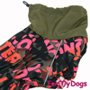 Afbeeldingen van ForMyDogs  TDW0330-2024T F Female Dachshund