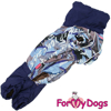Afbeeldingen van ForMyDogs   TDW0420-2025T M Male Dachshund