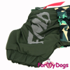 Afbeeldingen van ForMyDogs  TDW0330-2024T M Male Dachshund