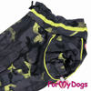 Afbeeldingen van ForMyDogs TDW0095-2023K Male Dachshund
