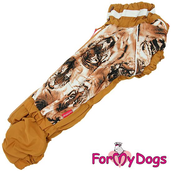 Afbeeldingen van ForMyDogs  TDW0293-2024T F female Dachshund