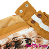 Afbeeldingen van ForMyDogs  TDW0293-2024T F female Dachshund