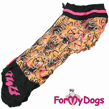 Afbeeldingen van ForMyDogs  TDW0369-2025Т F Female Dachshund
