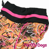 Afbeeldingen van ForMyDogs  TDW0369-2025Т F Female Dachshund
