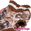 Afbeeldingen van ForMyDogs  TDW0358-2025T M Male  Dachshund