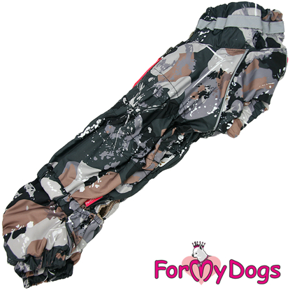 Afbeeldingen van ForMyDogs TDW0360-2025T M Male Dachshund