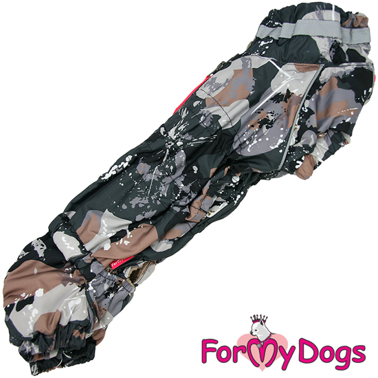 Afbeeldingen van ForMyDogs TDW0360-2025T M Male Dachshund