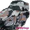 Afbeeldingen van ForMyDogs TDW0360-2025T M Male Dachshund