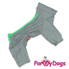 Afbeeldingen van ForMyDogs TDSS0138-2026 Male
