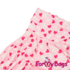 Afbeeldingen van ForMyDogs TDSS0135-2026 Female  PRE ORDER