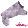 Afbeeldingen van ForMyDogs TDSS0147-2026 PRE ORDER