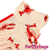 Afbeeldingen van ForMyDogs TDSS0134-2026 F Female