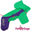 Afbeeldingen van ForMyDogs TDSS0126-2026 F Female