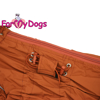 Afbeeldingen van ForMyDogs TDSS0130T Male Dachshund