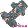 Afbeeldingen van ForMyDogs TDW0484-2026 M  Male pre order