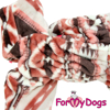 Afbeeldingen van ForMyDogs  TDW0475-2026 F Female Pre Order
