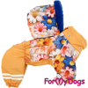 Afbeeldingen van ForMyDogs  TDW0469-2026 F Female  Pre order