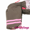 Afbeeldingen van ForMyDogs  TDW0441-2026 F Female  Pre order