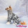 Afbeeldingen van ForMyDogs   TDW0285-2024 M Male