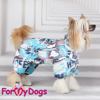 Afbeeldingen van ForMyDogs   Benny Male