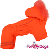 Afbeeldingen van ForMyDogs  TDW0277-2024 F Female