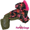 Afbeeldingen van ForMyDogs  TDW0328-2024 F  Female