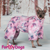 Afbeeldingen van ForMyDogs   TDW0242-2024 F Famale