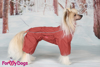 Afbeeldingen van ForMyDogs  TDSS0035-2024 Female