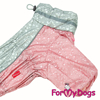 Afbeeldingen van ForMyDogs  Lizzy Female