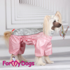 Afbeeldingen van ForMyDogs  Lizzy Female
