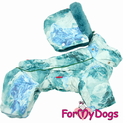 Afbeeldingen van ForMyDogs  TDW0443-2026 M Male Pre order
