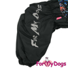 Afbeeldingen van ForMyDogs Harry Male
